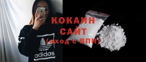ешки Гусь-Хрустальный